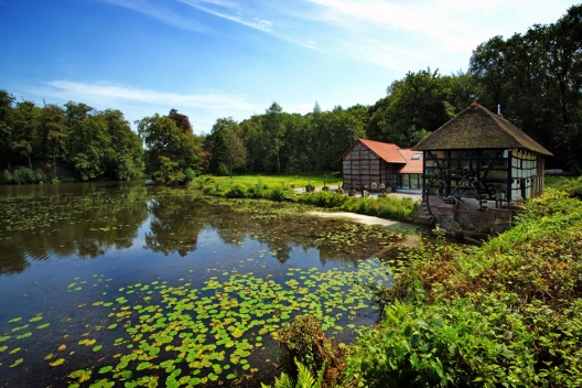 Bienvenidos al parque natural alemán-holandés Maas-Swalm-Nette