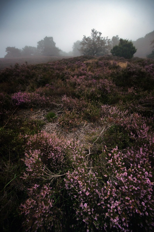 Nationalparkregion MeinWeg